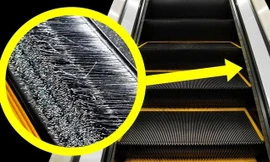 Phần lông bàn chải ở 2 bên thang cuốn có thật sự để làm sạch giày?