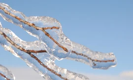 Sự khác nhau giữa tuyết, mưa tuyết và mưa băng