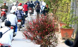 Cả nước đón nắng ấm