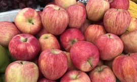 Táo đá Trung Quốc tràn ngập thị trường, giá rẻ như rau