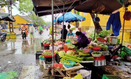 Thị trường ngày 14/10: Sau lũ lớn, rau xanh khan hiếm, giá tăng mạnh