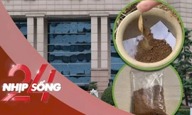 NHỊP SỐNG 24: Các thầy giáo mặc váy múa thiên nga mừng ngày 8/3 gây sốt