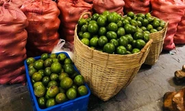 Thị trường ngày 15/9: Đến lượt bơ Booth rơi vào cảnh phải 'giải cứu'