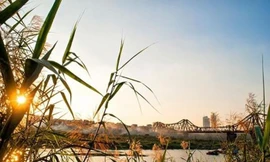 Miền Bắc nắng ấm trước khi đón mưa dông