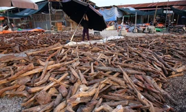 Độc lạ chợ ‘củi vụn’ có giá tiền triệu một cân