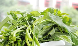 Vì sao rau muống bị coi như cần sa ở Mỹ?