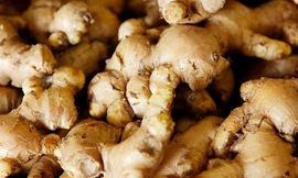 Du lịch nội địa 'cháy phòng' dịp 30/4; giá gừng rẻ chưa từng có