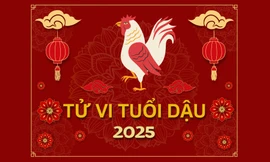 TỬ VI TUỔI DẬU 2025: Sự nghiệp phát triển, tài lộc như ý