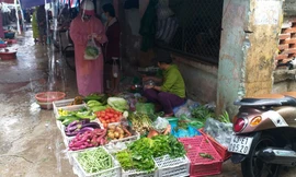 Thị trường ngày 26/10: Rau xanh tăng giá 'kỷ lục' sau bão, khách sạn tiếp tục giảm giá