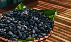 Thị trường ngày 11/9: Trám đen vào vụ, lô tôm đầu tiên xuất khẩu sang EU theo EVFTA