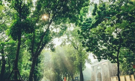 Miền Bắc mát mẻ, Nam Bộ có mưa