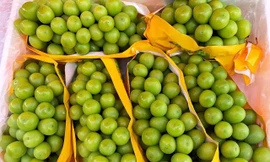 Nho sữa giá rẻ đổ về chợ, gạo ngon nhất thế giới vừa thay bao bì đã bị làm giả