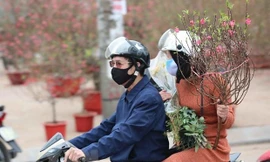 Dự báo thời tiết đêm giao thừa và mùng 1 Tết Nguyên đán Nhâm Dần