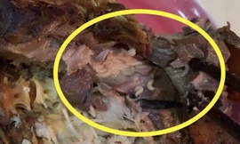 Chuỗi thực phẩm sạch Hà Nội đóng cửa vì sự cố giòi bò, LG dừng kinh doanh điện thoại