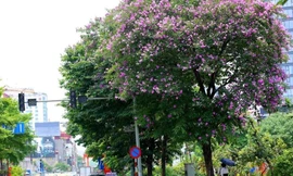 Miền Bắc mát mẻ trước khi nắng nóng trở lại