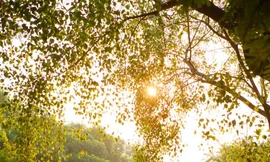 Miền Bắc có thể lên tới 20 độ trưa nay