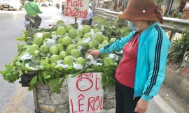 Thị trường ngày 14/11: Ổi 'Lệ Rơi' khổng lồ hút khách, Iphone 'giá rẻ' lọt top bán chạy