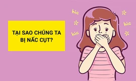Tại sao chúng ta bị nấc cụt?