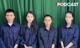 HÌNH SỰ: Nhà hàng ở TPHCM có cả trăm nhân viên bán dâm, kích dục cho khách