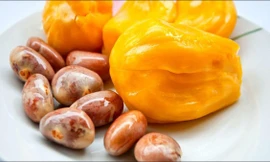 Đặc sản cá tầm giá siêu rẻ, hạt mít có giá tới 200.000đ/kg ở Nhật