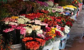 Thị trường ngày 1/2: Xả hàng hoa vì COVID-19, dịch vụ làm đẹp 'hốt bạc' ngày Tết