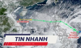 TIN NHANH: Chuyên gia nói về sự dị thường của bão Trà Mi khi vào Biển Đông