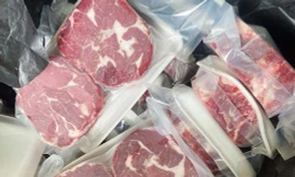 Chi cả triệu đồng thuê người tảo mộ dịp Tết Thanh minh