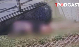 ĐIỂM TIN 19/8: Tin mới nhất vụ thi thể cô gái không nguyên vẹn ở quận 7