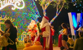 90 cây tùng bách thắp đèn từ gốc đến ngọn, Vũng Tàu sáng rực dịp Noel