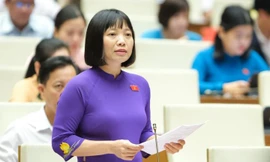 Đại biểu Quốc hội Nguyễn Thị Việt Nga.