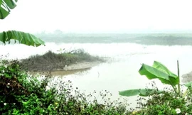 Kiểm tra toàn bộ đất của ông Vươn?