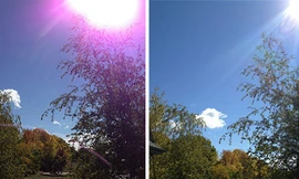 iPhone 5 dính thêm lỗi chụp ảnh có ánh tím