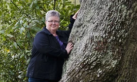 Phải lòng một... cây sồi