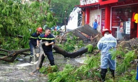 Công tác ứng phó bão số 4 đang được tích cực thực hiện. Ảnh minh hoạ