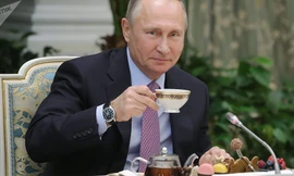 Tổng thống Nga Vladimir Putin. Ảnh: Sputnik