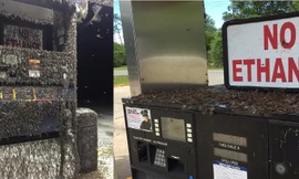 Choáng với đàn phù du khổng lồ tụ tập trạm xăng để giao phối