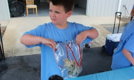 Câu chuyện xúc động của cậu bé bán nước chanh kiếm 6.000 USD