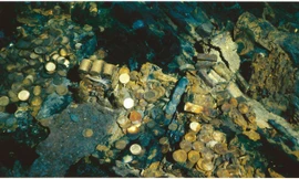 Những đồng tiền vàng của con tàu S.S. Central America được tìm thấy dưới đáy biển. (Nguồn: pcgs.com)