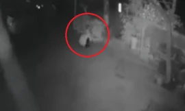 Bản tin 14H: Người đàn ông lái ô tô đi trộm hoa trong đêm gây xôn xao