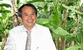 Bầu Đức có thể lãi nghìn tỷ nhờ vườn chuối