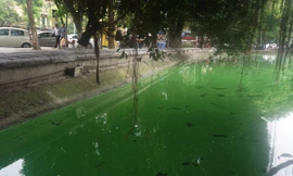 Công ty Thoát nước Hà Nội cho biết, thời gian đầu sau nạo vét tảo độc có thể xảy ra ở hồ Hoàn Kiếm (Ảnh: Nguyễn Dương)