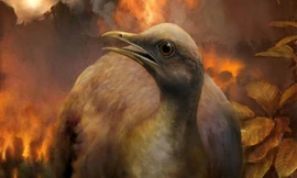 Tổ tiên của loài chim đã từng phải di chuyển xuống mặt đất để thích nghi với điều kiện tự nhiên.