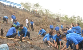 Các bạn trẻ lên núi trồng cây tại xã Yên Thắng, Lục Yên, Yên Bái.