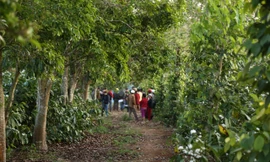 Khu vực rẫy, nơi phát hiện thi thể người đàn ông.