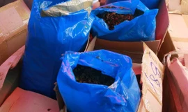 Lô hàng có chứa lá Khat. Ảnh: TTXVN