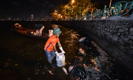 Công nhân vớt xác cá ở hồ Tây. Ảnh: Zing