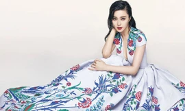 Phạm Băng Băng có cơ hội không bị truy cứu hình sự về hành vi trốn thuế.