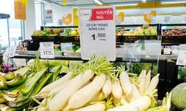 'Giải cứu' khẩn cấp: Củ cải tăng giá gấp 3 lần