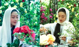 Nhan sắc như thiếu nữ của ‘Mai Siêu Phong’ Dương Lệ Bình ở tuổi 60