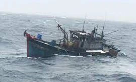 Tàu cá của ngư dân Quảng Nam bị đâm chìm trên biển